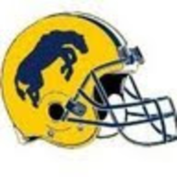 Meet your Posher, Mick - Picture 1 of 1